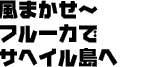 ܂`@t[JŃTփC
